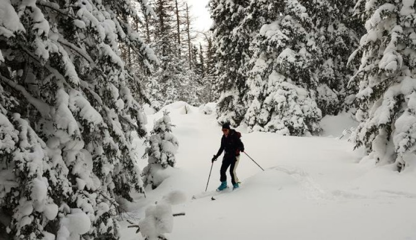 Hotel CROCUS **** Vysoké Tatry